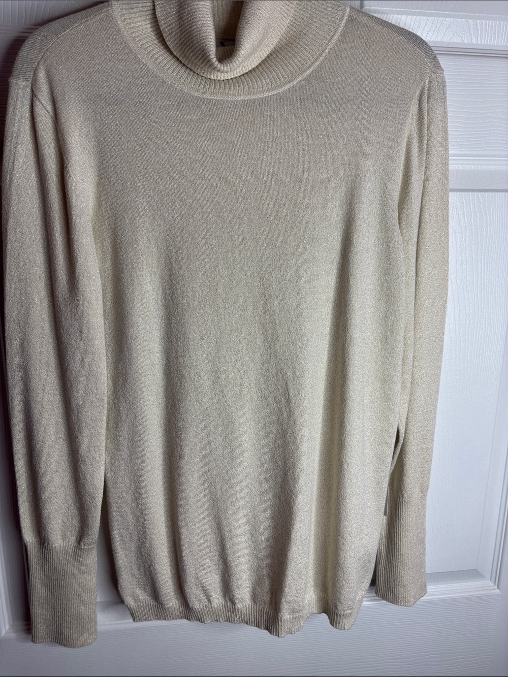 NWT Worthington Cream Neutral Turtleneck Knit Pullover Sweater